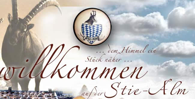 Unbenanntes Dokument